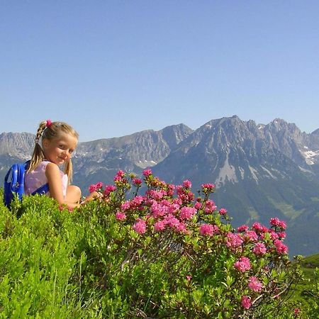 Hotel Baumgarten & Chalet Baumgarten Angerberg  Екстериор снимка