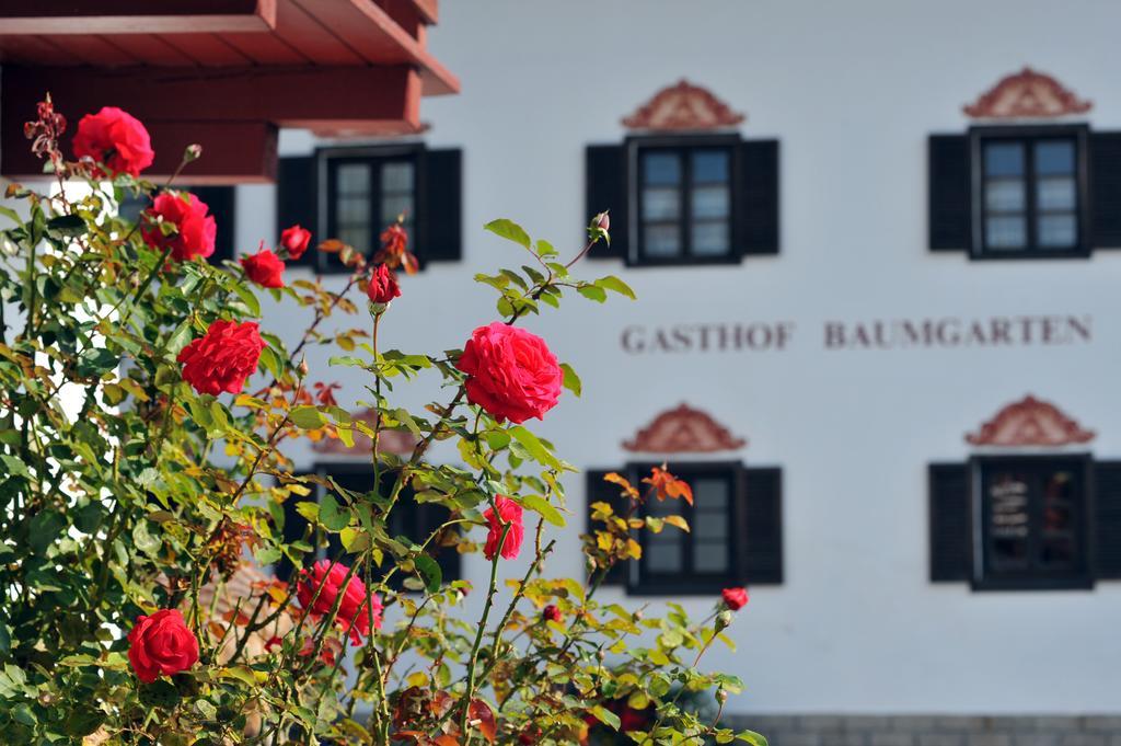 Hotel Baumgarten & Chalet Baumgarten Angerberg  Екстериор снимка